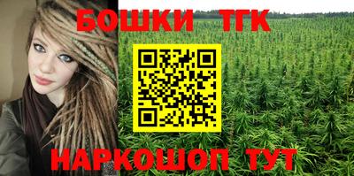 хмурый Сланцы