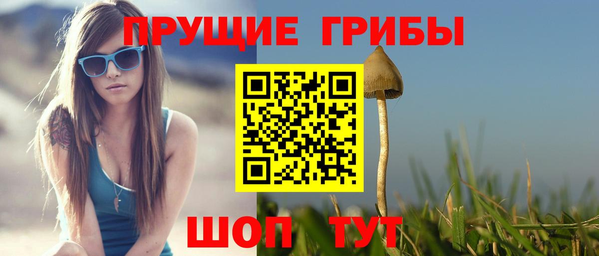 Борзя  Галлюциногенные грибы мухоморы  Вход с VPN 